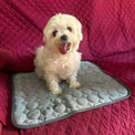 <strong>Works Better Than Expected</strong>